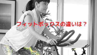 フィットボックス(FITBOX)を徹底比較！通常版とLITEの違い