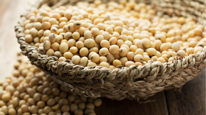 生活習慣病予防にも効果あり！栄養バランスに優れる大豆粉