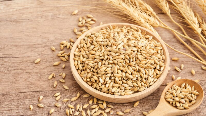 腸内環境改善に効果的！小麦全粒粉
